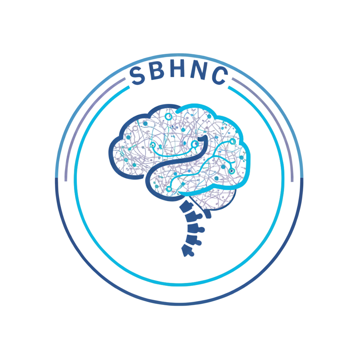 SBHNC - Spina Bifida and Hydrocephalus Neuropsychology Collaborative